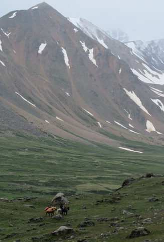 tavan bogd header