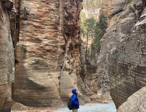 Ice Hiking – Winter in the West Fork of Oak Creek