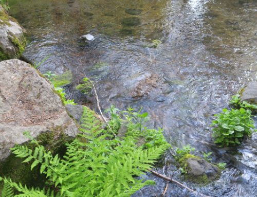 Klamath River Sources