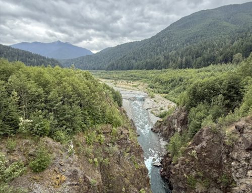 Elwha River Source to Sea Packraft